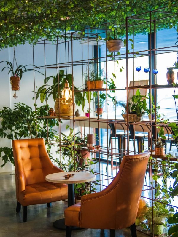 pexels-valeriya-827518 pexels-valeriya-827518